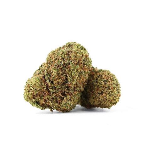 DOS-SI-DOS FLEUR CBG