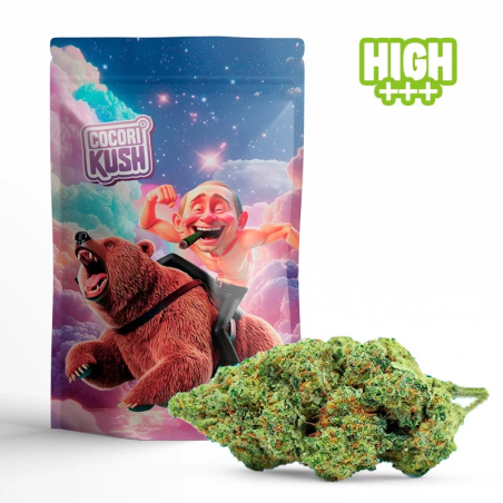 POUTINE OG FLEUR HEC-10