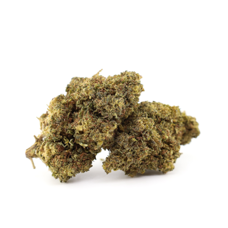 MUNCHIES HAZE 26% FLEUR THCA