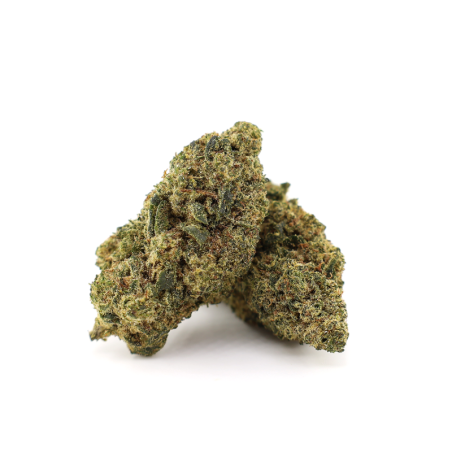 TINKY WINKY 30% FLEUR MAGIC... - alt