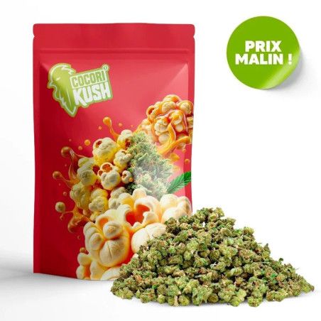 POP CORN FLEUR COCORIKUSH CBD