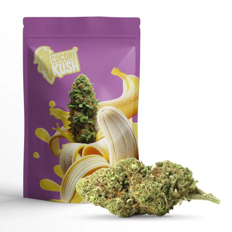 BANANA KUSH FLEUR COCORIKUSH CBD