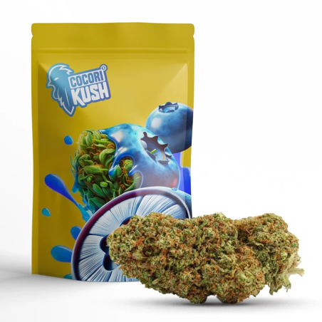 BLUEBERRY MUFFIN FLEUR COCORIKUSH CBD