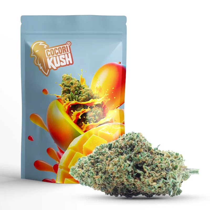 GELATO FLEUR COCORIKUSH CBD