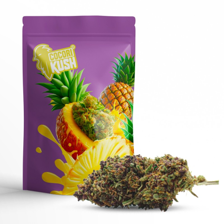 PURPLE PUNCH FLEUR COCORIKUSH CBD