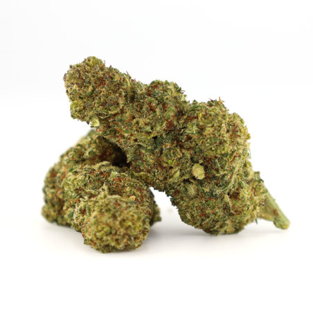 OCEAN BEACH FLEUR COOKIES - alt