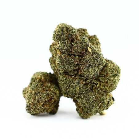 LAUGHING GAS FLEUR COOKIES - alt