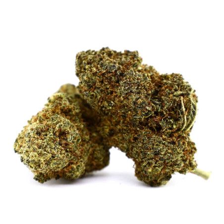 CHEETAH PISS FLEUR COOKIES - alt