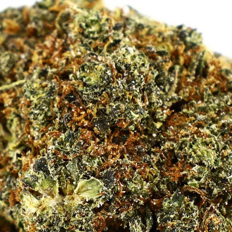 BERRY PIE FLEUR COOKIES