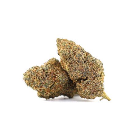 COSMIC TRIP 50% FLEUR HHX