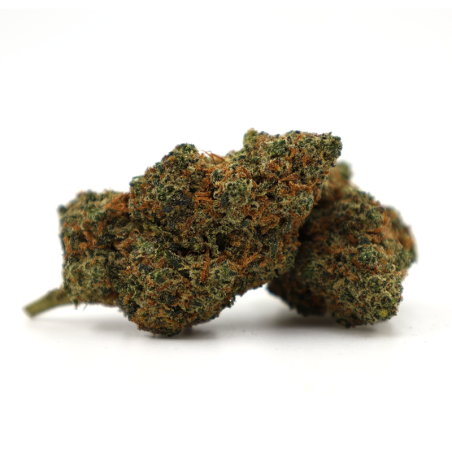 CHRONIC ICE 25% FLEUR THCA