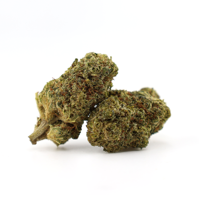 GODZILLA PUNCH 25% FLEUR THCA