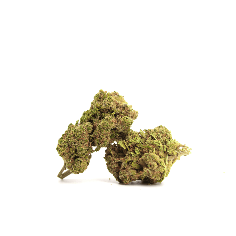 WATERMELON SKITTLEZ FLEUR CBG