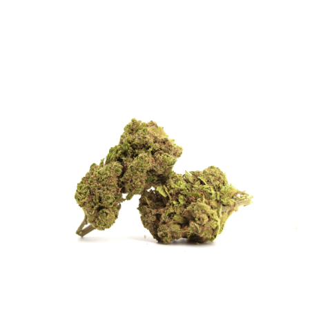 WATERMELON SKITTLEZ FLEUR CBG