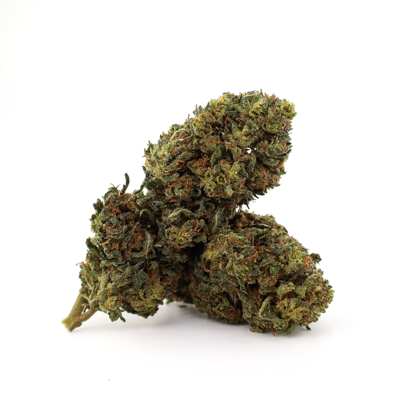 WHITE WIDOW 30% FLEUR HHX