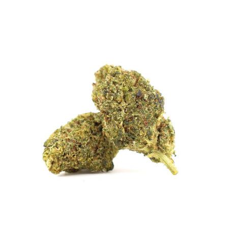 PANNA COTTA 34% FLEUR THCA