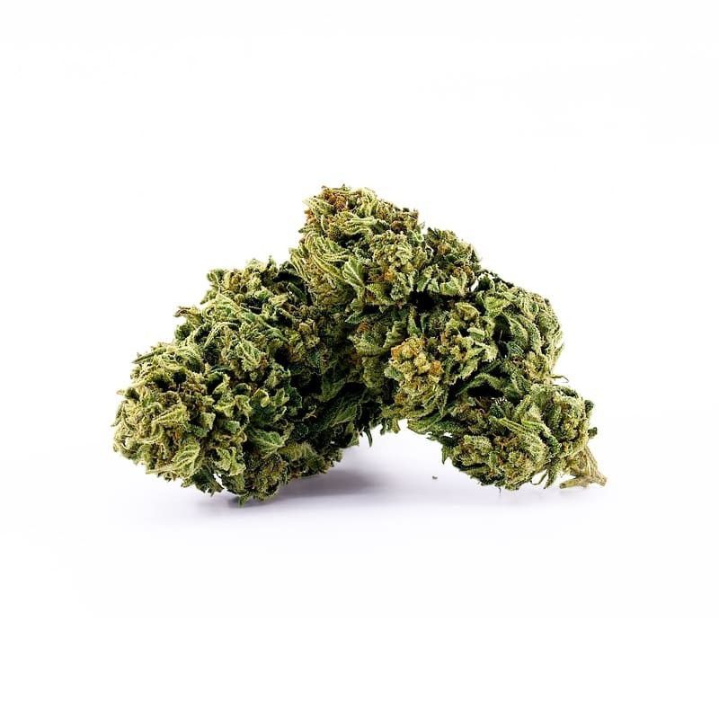 STRAWBERRY CAKE FLEUR CBG