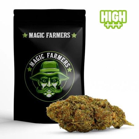 MIMOSA 30% FLEUR 10-OH-HHC