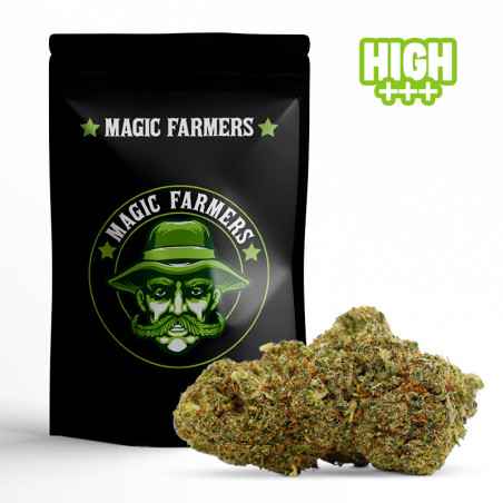 BLUE MANGO 30% FLEUR 10-OH-HHC