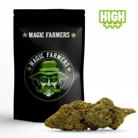 CASPER 30% FLEUR 10-OH-HHC