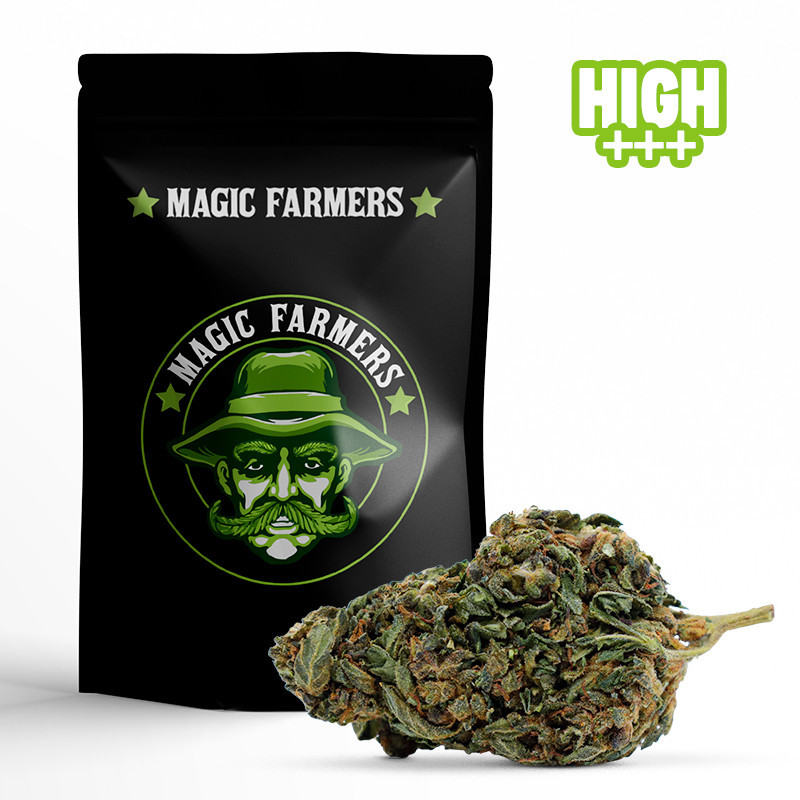 CHOCOLATA SKUNK 30% FLEUR 10-OH-HHC