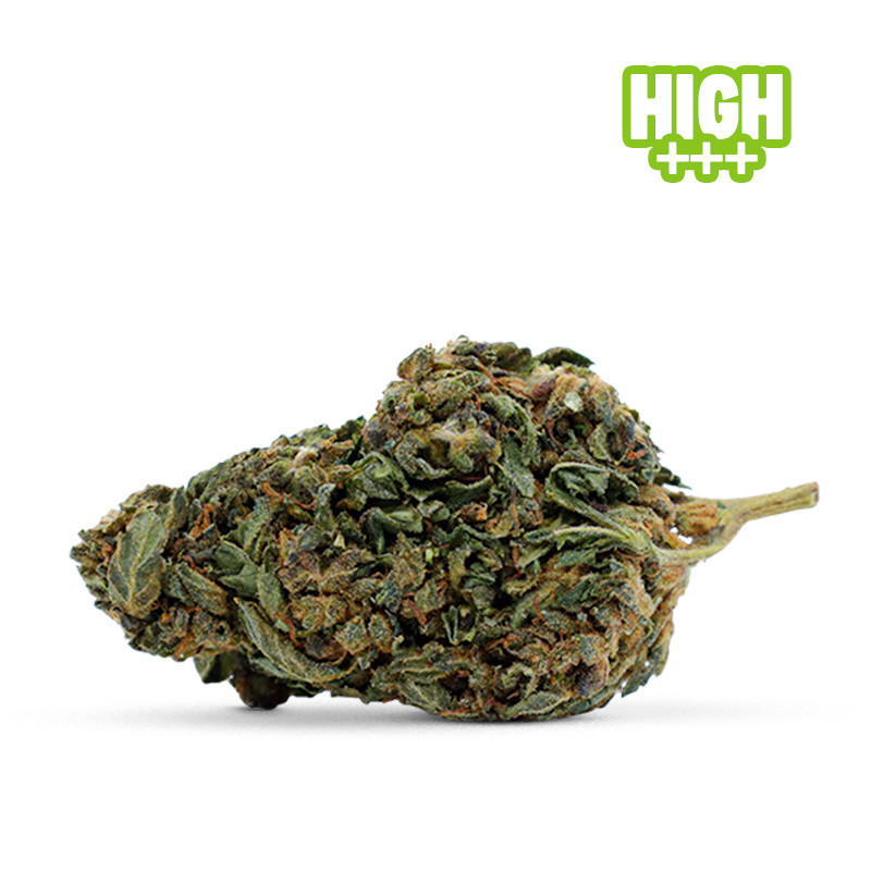 CHOCOLATA SKUNK 30% FLEUR 10-OH-HHC