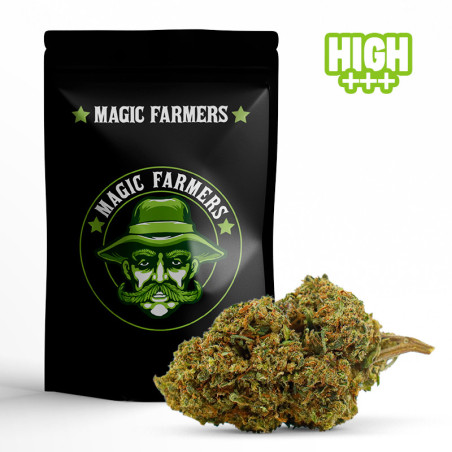 MR NICE 30% FLEUR 10-OH-HHC