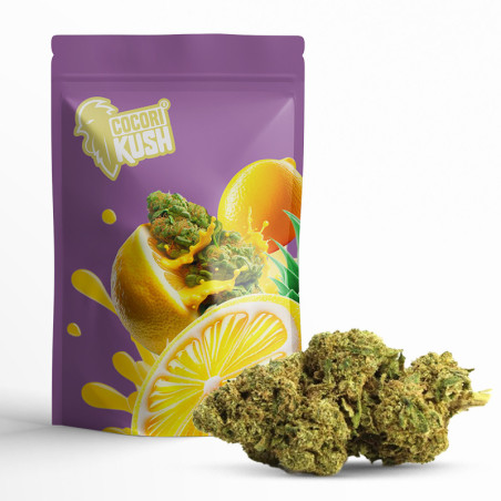 AMNESIA HAZE FLEUR CBG