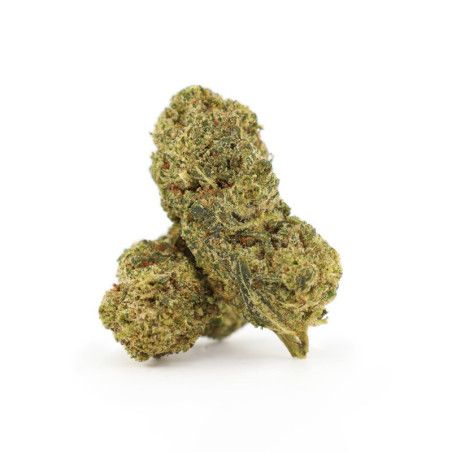 FLYING DUTCHMAN 25% FLEUR THCA