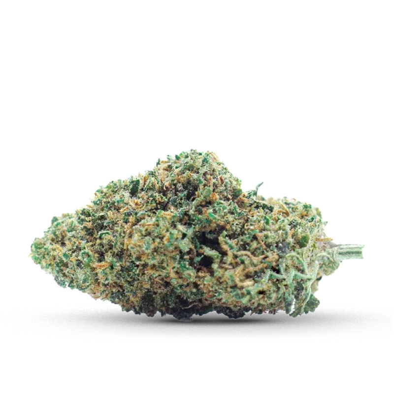 GELATO FLEUR COCORIKUSH CBD