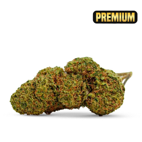 NORTH THUNDERFUCK FLEUR... - alt