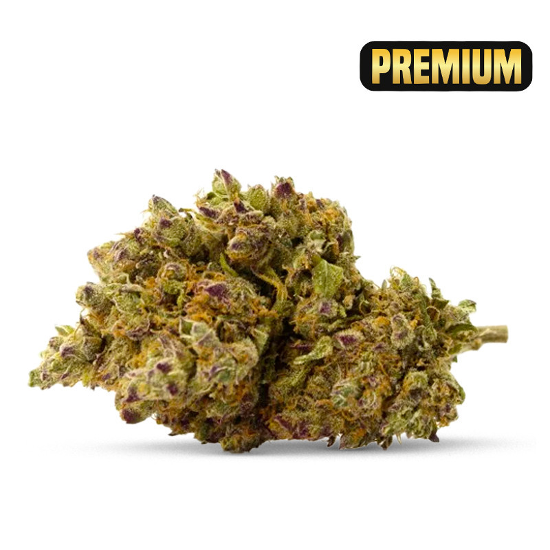 ROYAL GORILLA FLEUR COCORIKUSH CBD