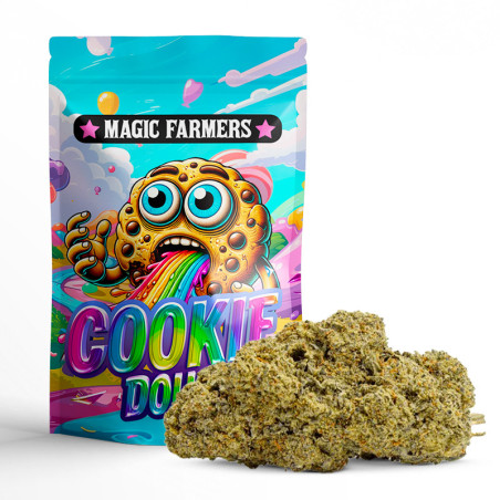 COOKIE DOUGH 25% FLEUR CBN+