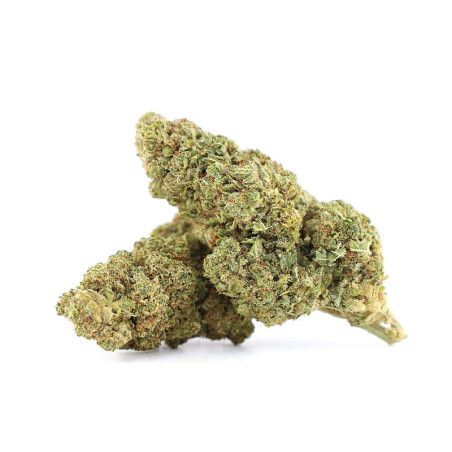 TCHERNOBYL 40% FLEUR CBG9