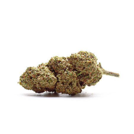 PETER PAN KUSH 30% FLEUR CBN+ - alt