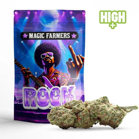 ROCK'N BERRY 30% FLEUR CBN+