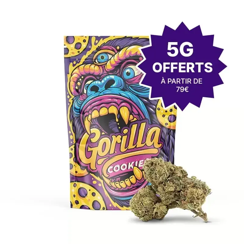 GORILLA COOKIES 30% FLEUR MAGIC SAUCE