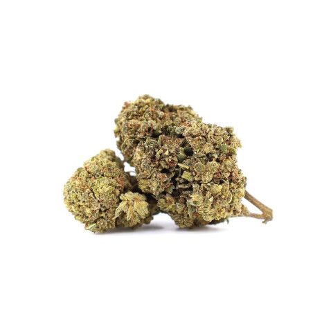 MR NICE 30% FLEUR 10-OH-HHC - alt